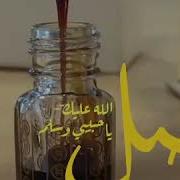 نشيد يا ربي صل على النبي وآله صلوا على الحبيب