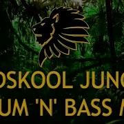 Jungle Music