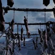 Павел Пламенев Ингерманландия Забытая Земля