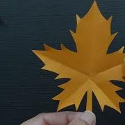 Maple Leaves