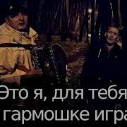 Это Я Для Тебя На Гармошке Играю