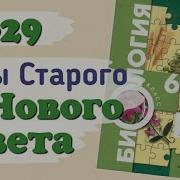 Биология 6 Класс 29 Параграф Пономорева