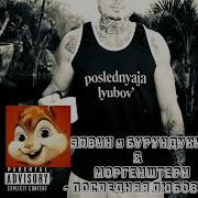 Бурундуки Последняя Любовь