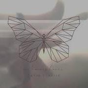 Metamorphosis David Clavijo