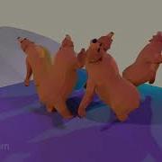 Dancing Bears Meme Sweet Dreams