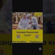 Апандан Башка Ким Тутот