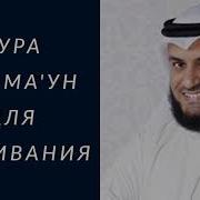 Арайталази