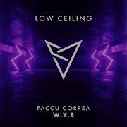 Faccu Correa W Y B Original Mix