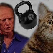 Невероятные Истории Из Жизни