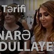 Bey Terifi