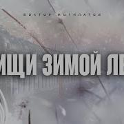 Не Ищи Зимой Лето Виктор Могилатов