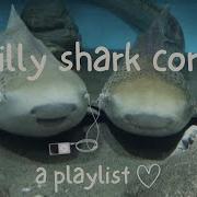 Silly Shark Core