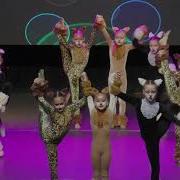 Премьера Танца Кошки Стелз 2019 Солнечный Каштанчик Нау