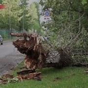 Ураган В Монино Моск Обл