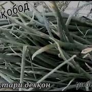 Аббос Искандаров Духтари Дехкон
