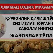 Арок Ичган Одамнинг Намози Кирк Кун Кабул Бўлмайди Деган Хадис Борми