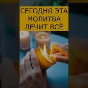 Выздоравливай Братишка