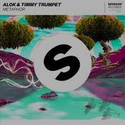 Alok Timmy Trumpet Metaphor Extended Mix