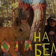 Охота На Белку В Лесу Чудес