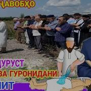 Эшони Нуриддин Дар Бораи Бачаҳои Тоҷик