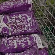Обзор Орхидей Из Леруа Покупки