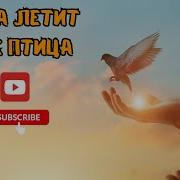 Душа Летит Как Птица В Небеса