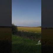 Игорь Огурцов Нравится Мне Нравится