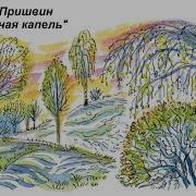 Лесная Капель Пришвин Слушать