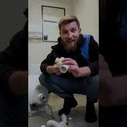 Капает Вода И По Трубам Стекает