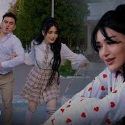 Севги Хакида Кушик