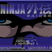 Ninja Gaiden Remix