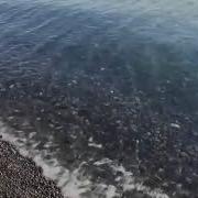 1 Наурыз Алғыс Айту Күніне Арналған Біз Жетісуда Тұрамыз Акциясы