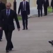 Путин И Голубь Наша Служба И Опасна И Трудна