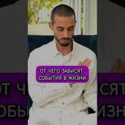 Анар Дримс Философия Пробуждения