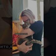 Извините Я Кот