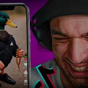 Мемы Из Тиктока