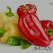 100 Куз Уткирлиги Тикловчи Таббий Аралашма