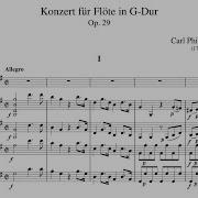 Flute Concerto In G Major Op 29 I Allegro