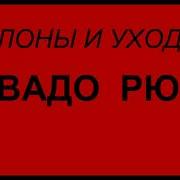 Вадо Рю Уклоны И Уходы Стиля