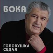 Бока Ветер Осений Лист Падал