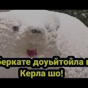 Абдул Азиз Асхабов Керла Шо