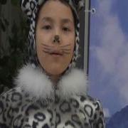 Сказка О Снежных Барсах