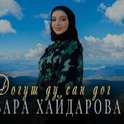 Зара Хайдарова Догуш Ду Сан Дог