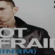 Eminem Not Afraid Arena Effect