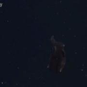 Морской Чёрт Во Всей Красе
