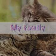 Милые Котики Под Песню Молния