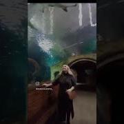 В Жизни Обязательно Должны Быть Паузы Такие Паузы Когда С Вами Ничего Не Происходит Когда Вы Просто Сидите И Смотрите На Мир А Мир Смотрит На Вас