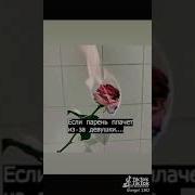 Если Девушка Плачет Из За Парня Искренность