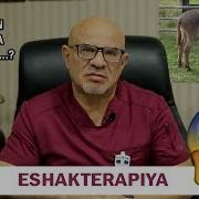 86 Doktor D Eshak Bilan Jinsiy Aloqa Bu Haqiqatmi Eshakterapiya