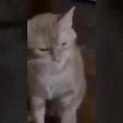 Чих Со Взрывом